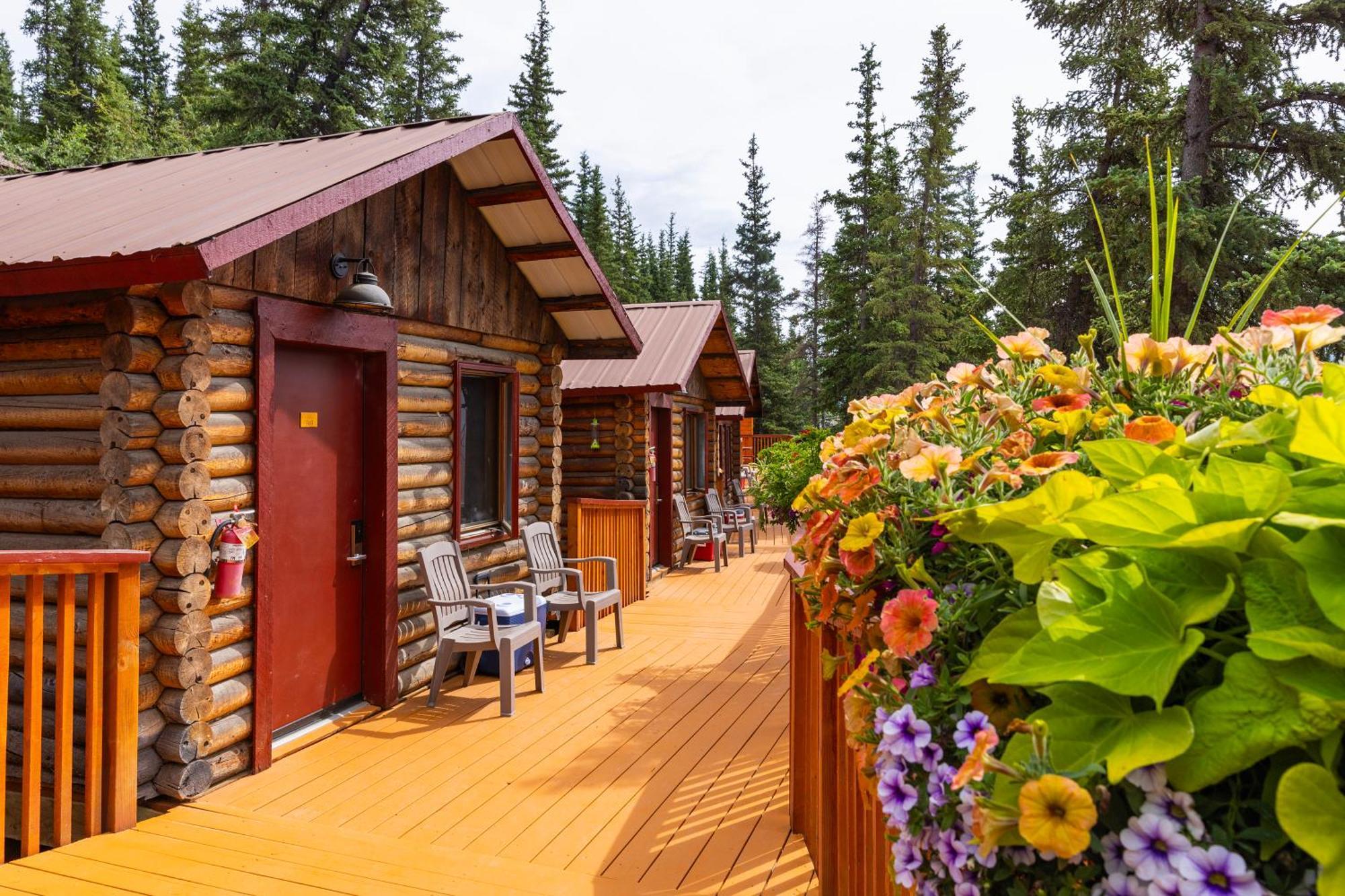 Denali Crow'S Nest Cabins Denali Park Exterior foto