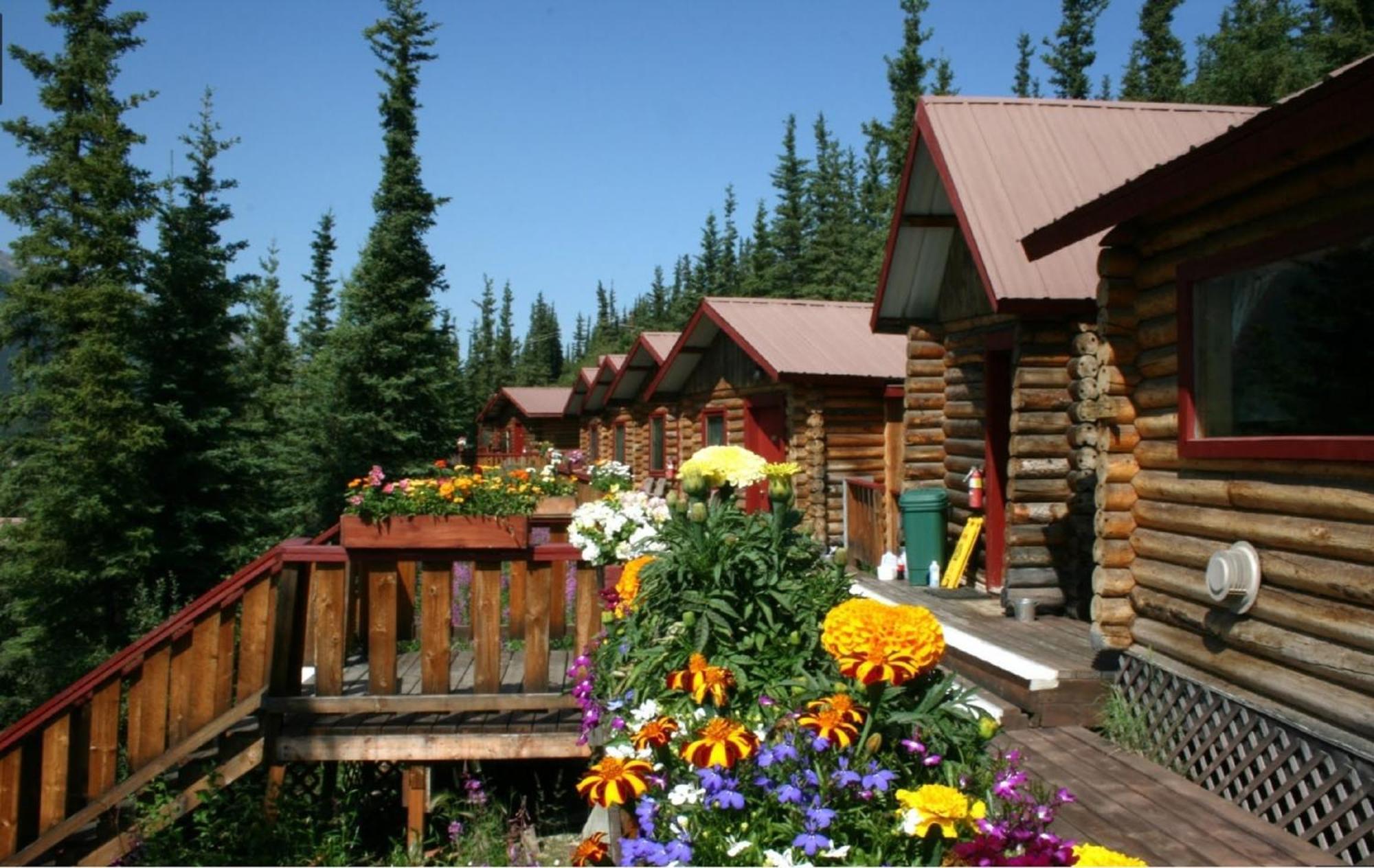 Denali Crow'S Nest Cabins Denali Park Exterior foto